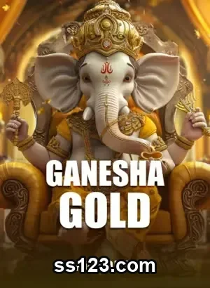 Jogadores VIP na plataforma segura do ss123.com